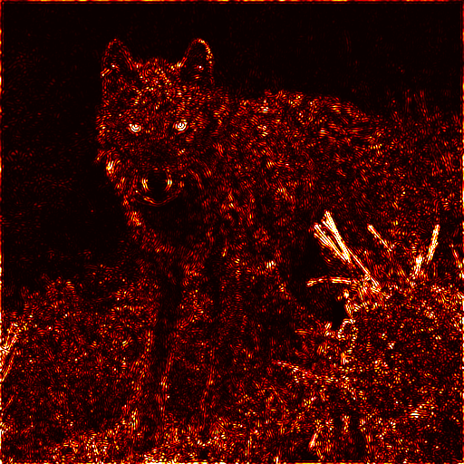 Final summed orientation-energy map of the wolf
