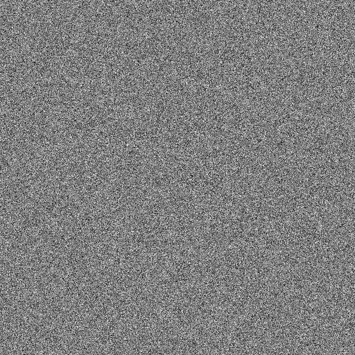 Seeded grayscale white-noise input