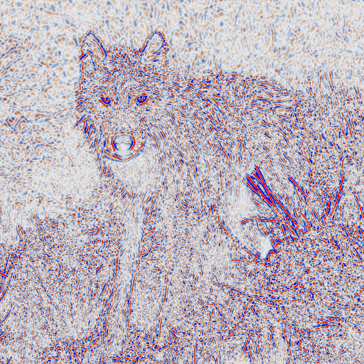 Signed Difference-of-Gaussians response of the wolf photograph