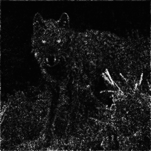 Grayscale scalar energy magnitudes for the wolf